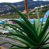 El aeropuerto de Funchal en una foto de Lancastrian.