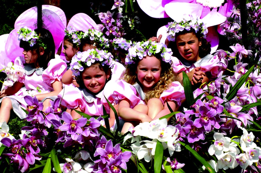 Fiesta de la Flor de Madeira 2013 Festa da Flor