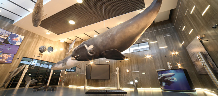 Museo de la ballena en Canical